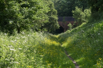 Brotheridge Green by Pete Walkden