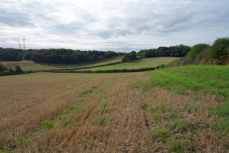 Arable fields at Dropping Well Farm by Wendy Carter