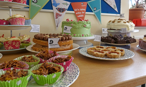 A selection of cakes, tarts, cupcakes etc on a table