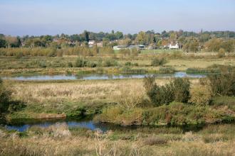 Gwen Finch Wetland Reserve