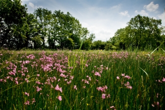 Feckenham Wylde Moor by Paul Lane