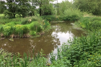 Sanders Park Wetland CREDIT Lucy Wood Environment Agency