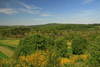 View over Dropping Well Farm, The Devil's Spittleful and Rifle Range nature reserves by Wendy Carter