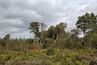 The Devil's Spittleful nature reserve