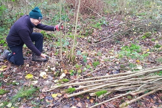 Trainee Derren with a coppice drift 