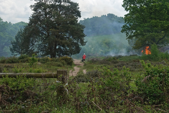 A fireman in the middle of the photo heading towards the flames of a fire to the right of the photo. Smoke is billowing from the fire, which is situated in vegetation just beyond a tree.