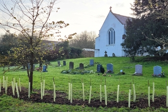 Newly planted hedgerow at St Nicholas' Church