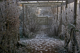 Lower Smite garden in winter