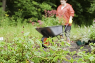 Flowers in the foreground and a woman pushing a wheelbarrow in the background