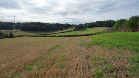 Arable fields at Dropping Well Farm by Wendy Carter