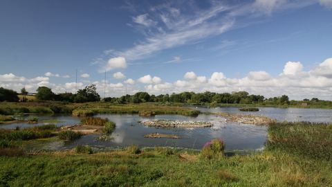 The Moors pools at Upton Warren by Wendy Carter