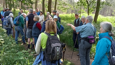 Wyre Forest local group walk