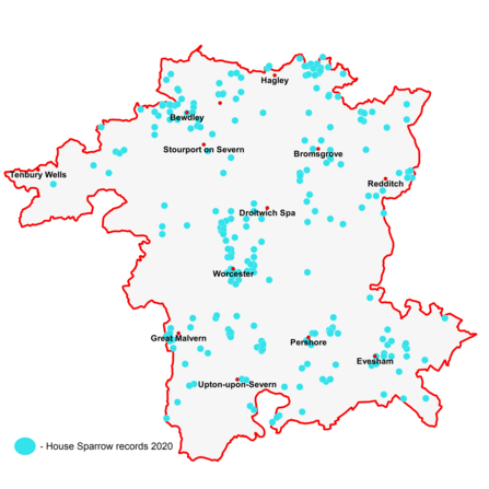 House sparrow records across the county of Worcestershire (data based on info from British Trust for Ornithology/Worcestershire County Bird Recorder)