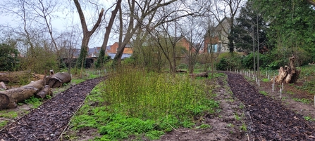 Cromwell Crescent Park, with a path looping around