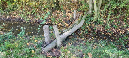 Leaky log dam installed at Ryden Farm