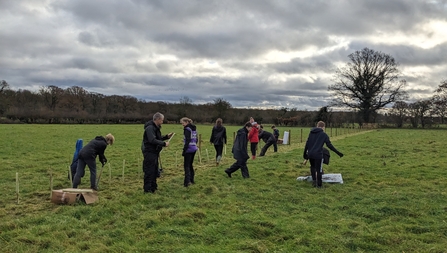 A group of Scouts planting trees in a line to recreate a hedge in a green field with a woodland in the background by James McDonald