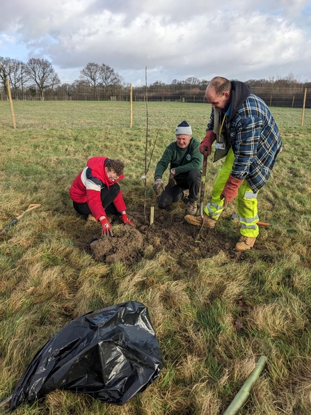 Apple tree planting with Wildgoose