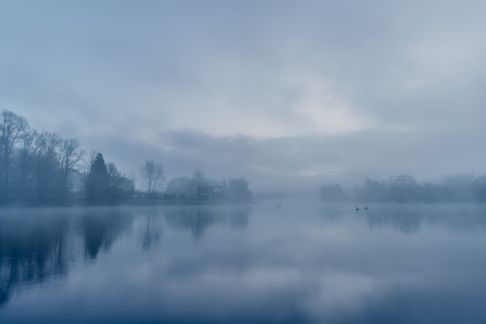 A misty morning - trees lining a lake that disappears into the distance