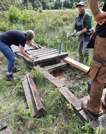 Conservation trainees repairing boardwalk at Ipsley Marsh 