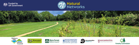 Photo of a green space with newly planted trees and the logos for Natural Networks, 'funded by UK Government', Malvern Hills District Council, Worcester City Council, Wyre Forest District Council, Wychavon District Council, Worcestershire Wildlife Trust, Worcestershire County Council and Forestry Commission