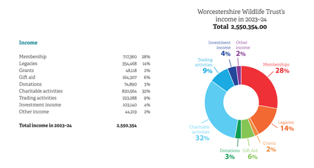 Breakdown of income streams and the amounts