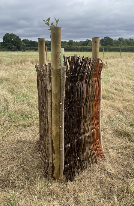 Tree guard hurdle made by Wild Goose Rural Training