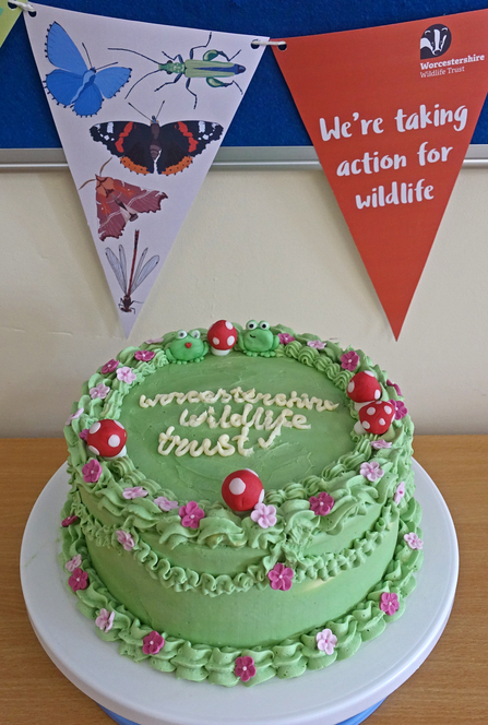 Cake with green icing and flowers, mushrooms and frog decorations. The words Worcestershire Wildlife Trust are iced onto the top of the cake.