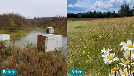 Before and after at Burlish Meadows