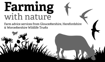 Silhouette of cow, grasses, wildflowers and birds with wording 'Farming with nature - farm advice services from Gloucestershire, Herefordshire & Worcestershire Wildlife Trusts"