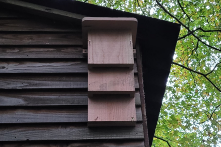 A bat box installed on the side of the treehouse 