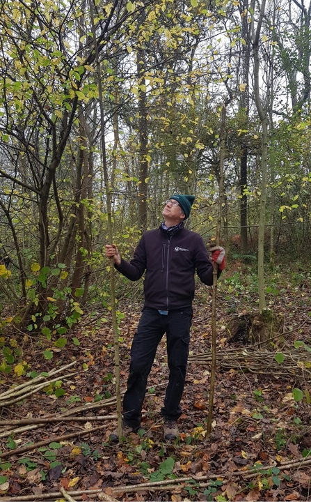 Derren stood with coppiced wood