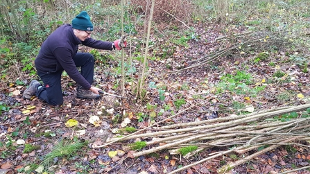 Trainee Derren with a coppice drift 