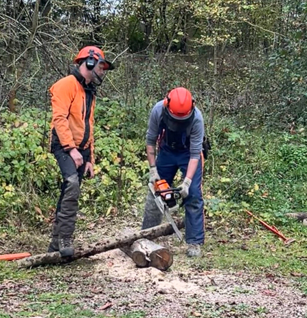 Trainees practicing chainsaw cuts on spare logs 