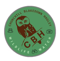 Churchill, Blakedown and Hagley Wildlife Watch logo - the name is around the edge and an illustration of an owl is sitting on a branch with the letters CBH on it