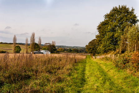 Wide grassy path alongside taller vegetation, in the distance are two large barns. It's a sunny day in late summer.