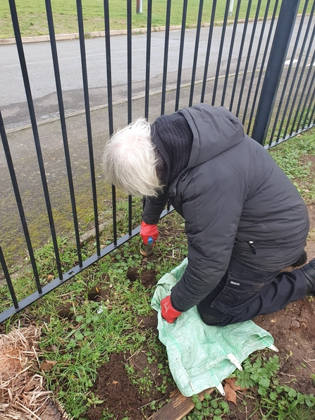 Bulb planting at St Peter's Church