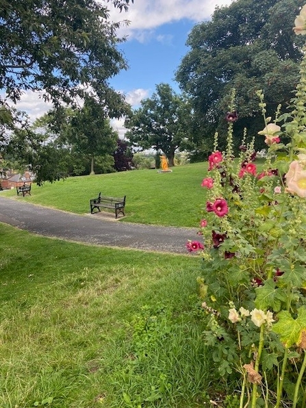 An urban park with trees, benches alongside a path and hollyhocks in flower in the foreground