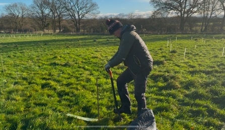 Jack tree planting at Green Farm