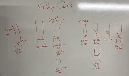 Drawings of fell cuts