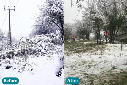 Brush cutting at Windmill Hill - before and after