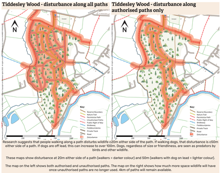 Two maps side by side showing the disturbance along paths by people walking on their own or with a dog. The left map shows all the paths in the wood, the right one shows just the authorised paths - there is almost no undisturbed space for wildlife on the left map