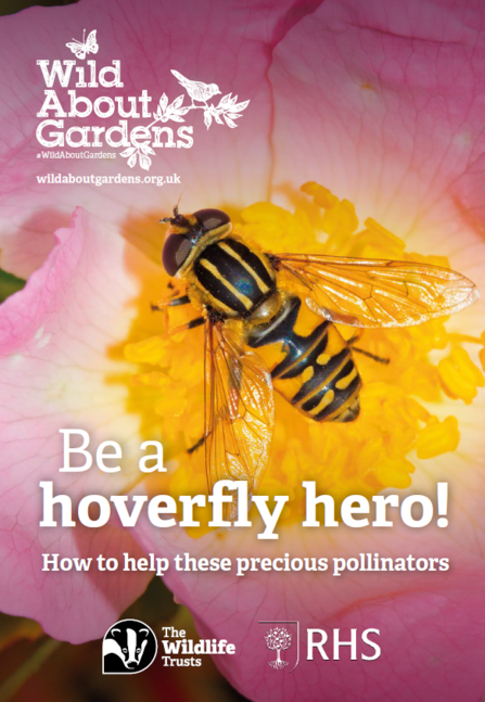 Wild about hoverflies booklet cover