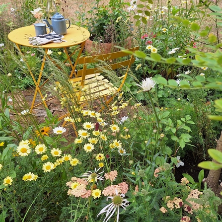 Garden with different plants and flowers and a small table and chair with a teapot and cup on the table