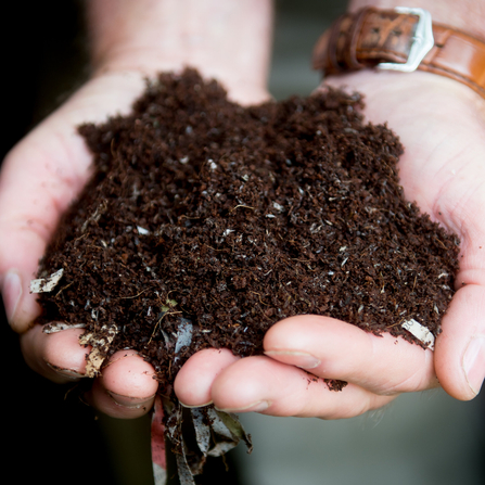 A pile of rich dark brown compost held in a pair of hands