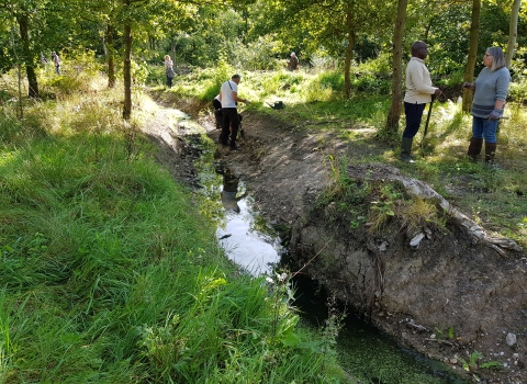 Volunteers planting for Natural Networks at Church Hill Brook by Jasmine Walters