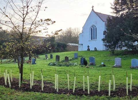 Newly planted hedgerow at St Nicholas' Church