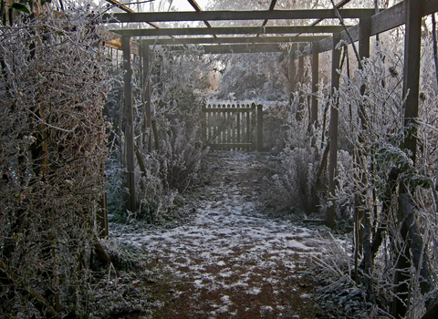 Lower Smite garden in winter