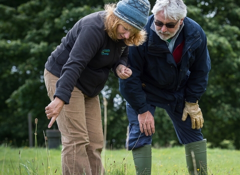 Two people looking at a grassland with one person pointing at something